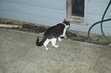 20050204_Kitty Kat_026